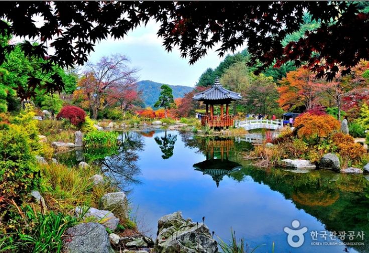 계곡의아침