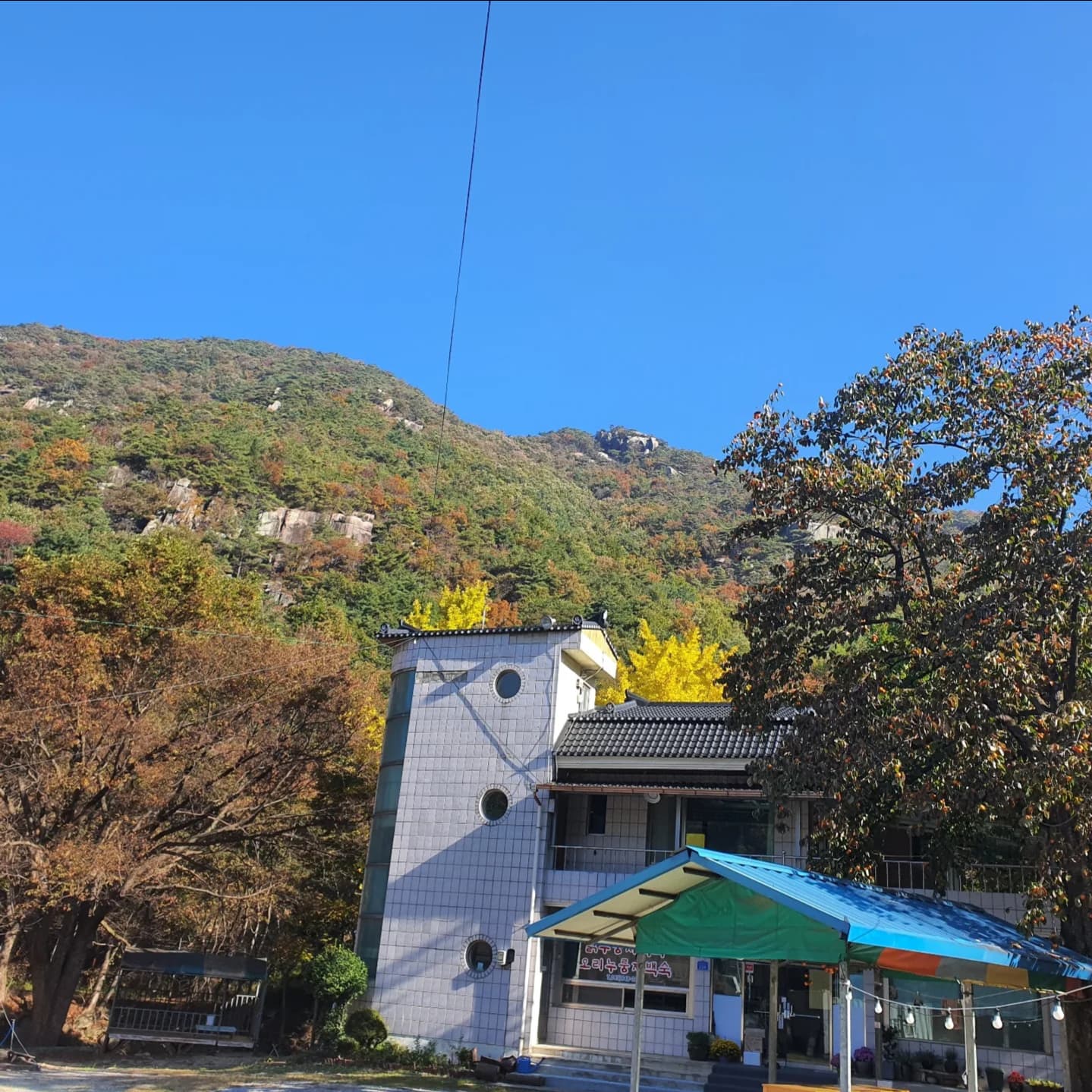 금수산민박