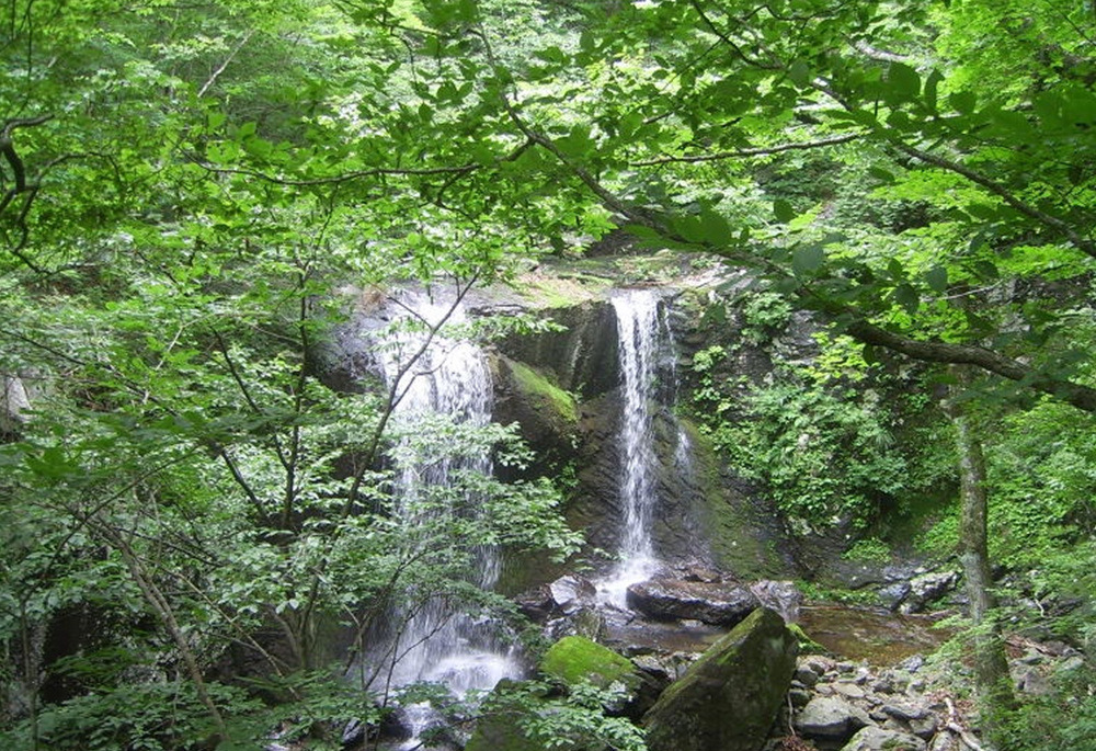 동대산펜션