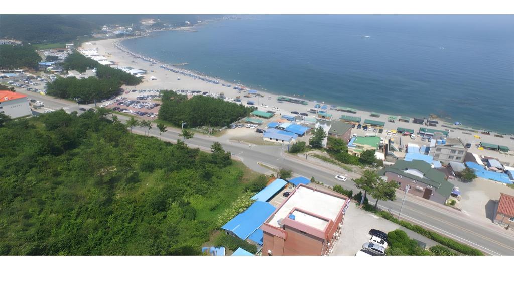 감포 바닷가 민박 펜션