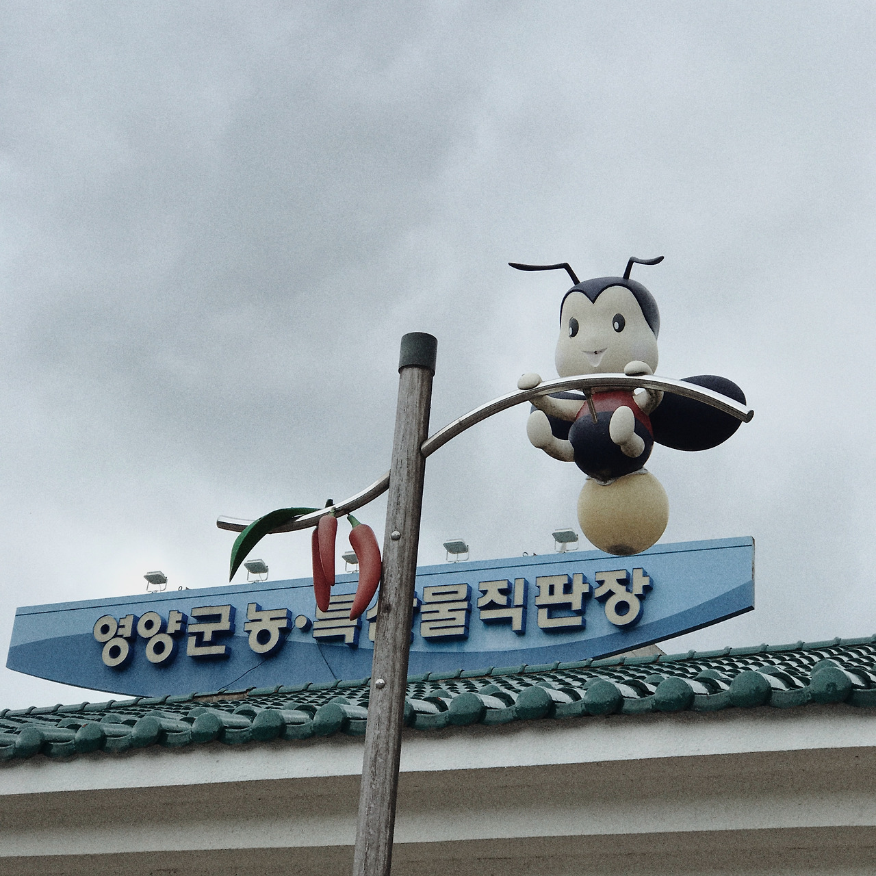 한우네