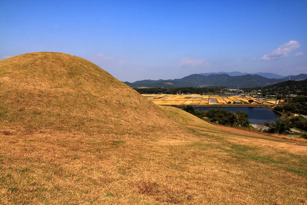 수야