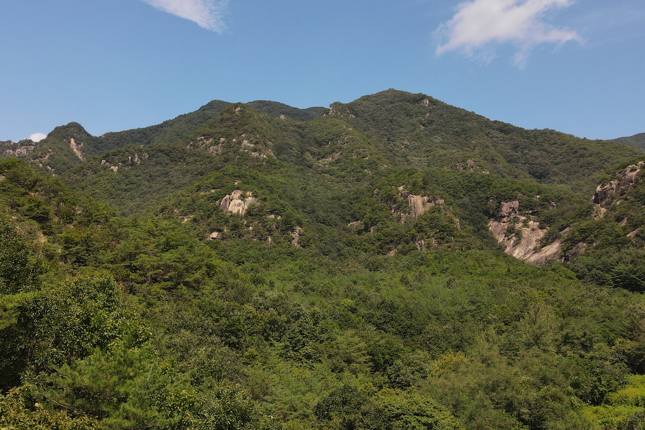 금수펜션(산장)