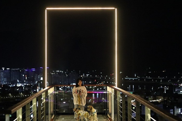 달빛