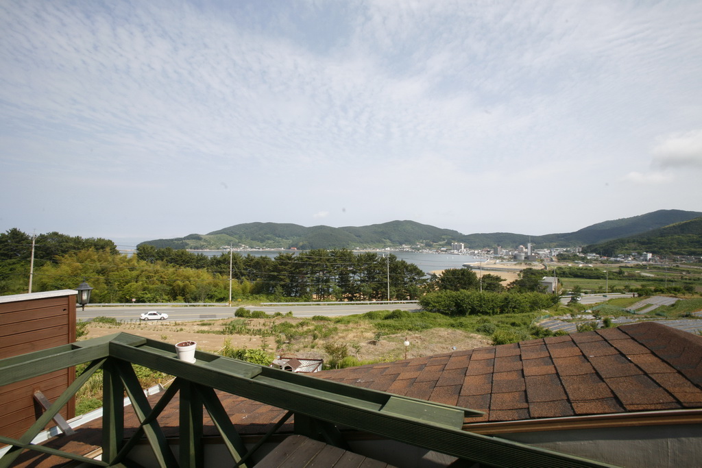 아지랑냉이랑