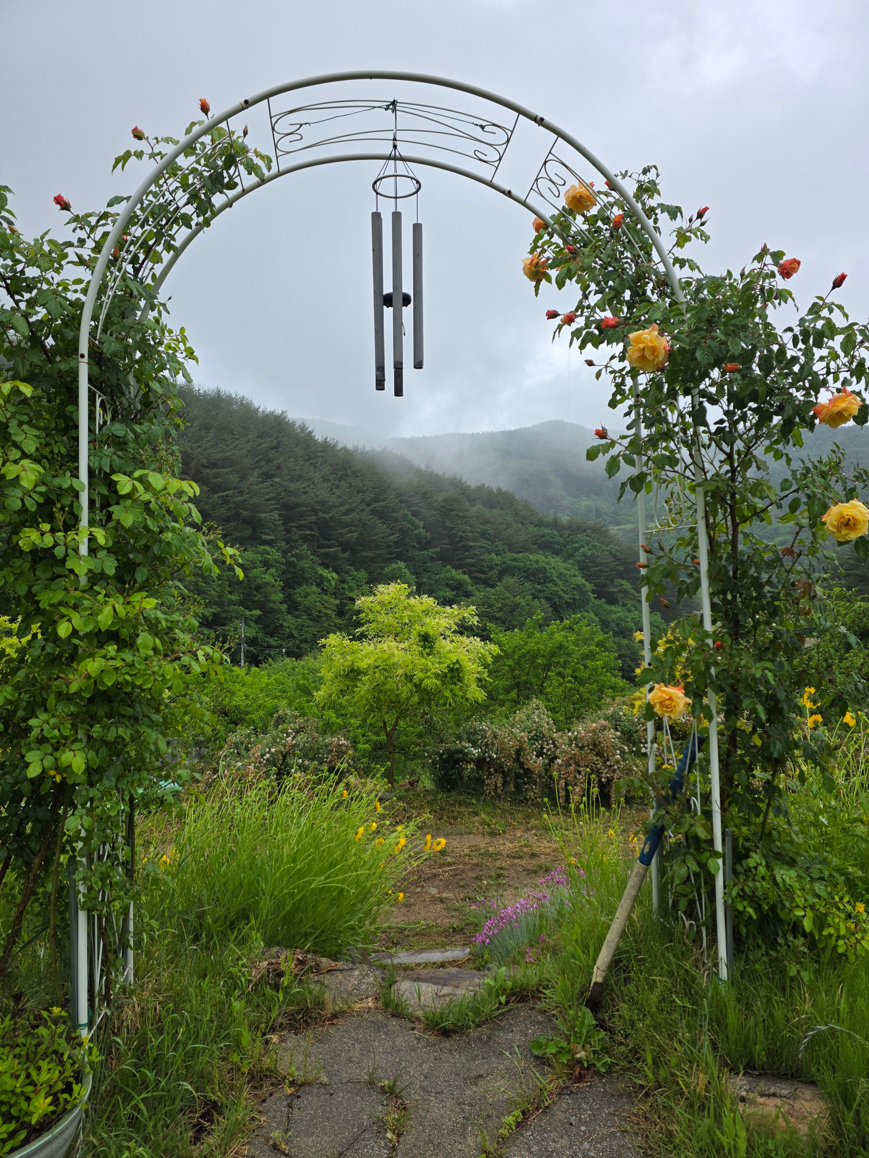 별천지민박
