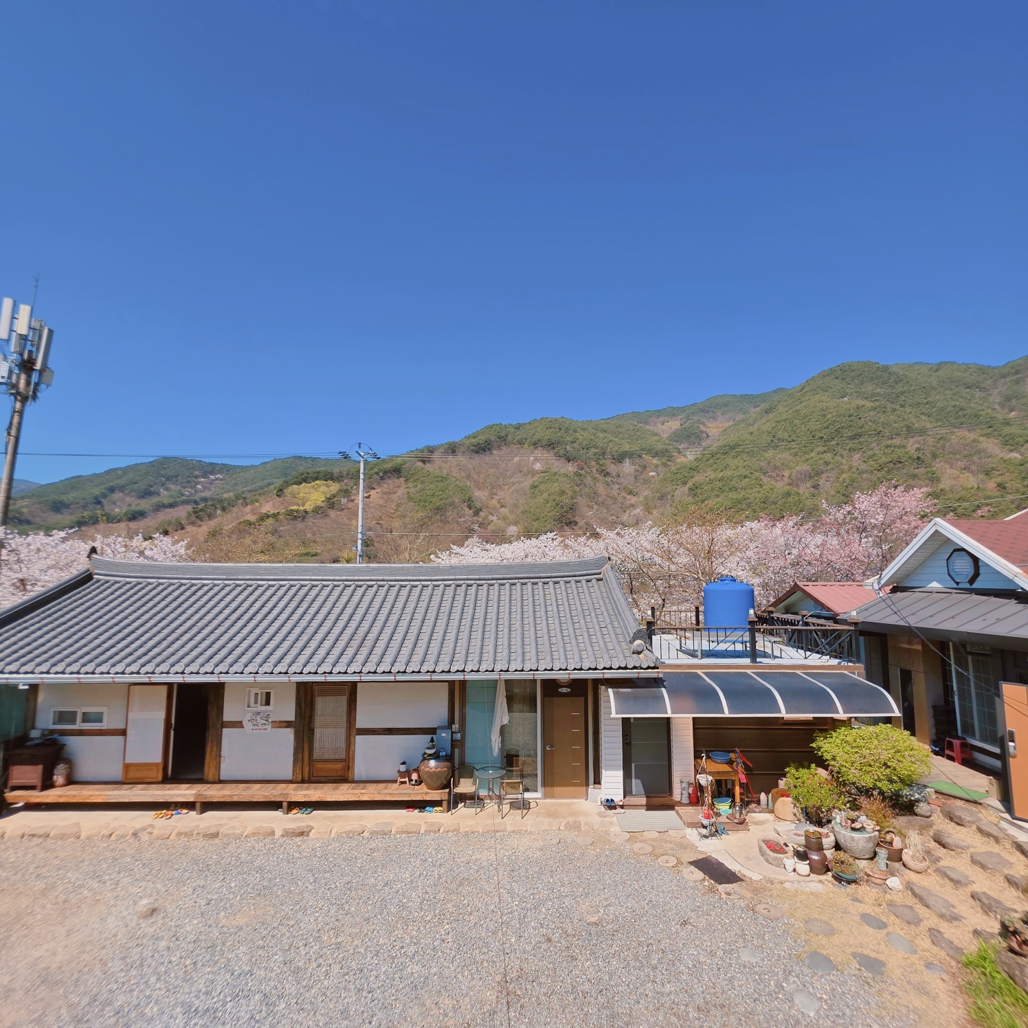멀구슬민박