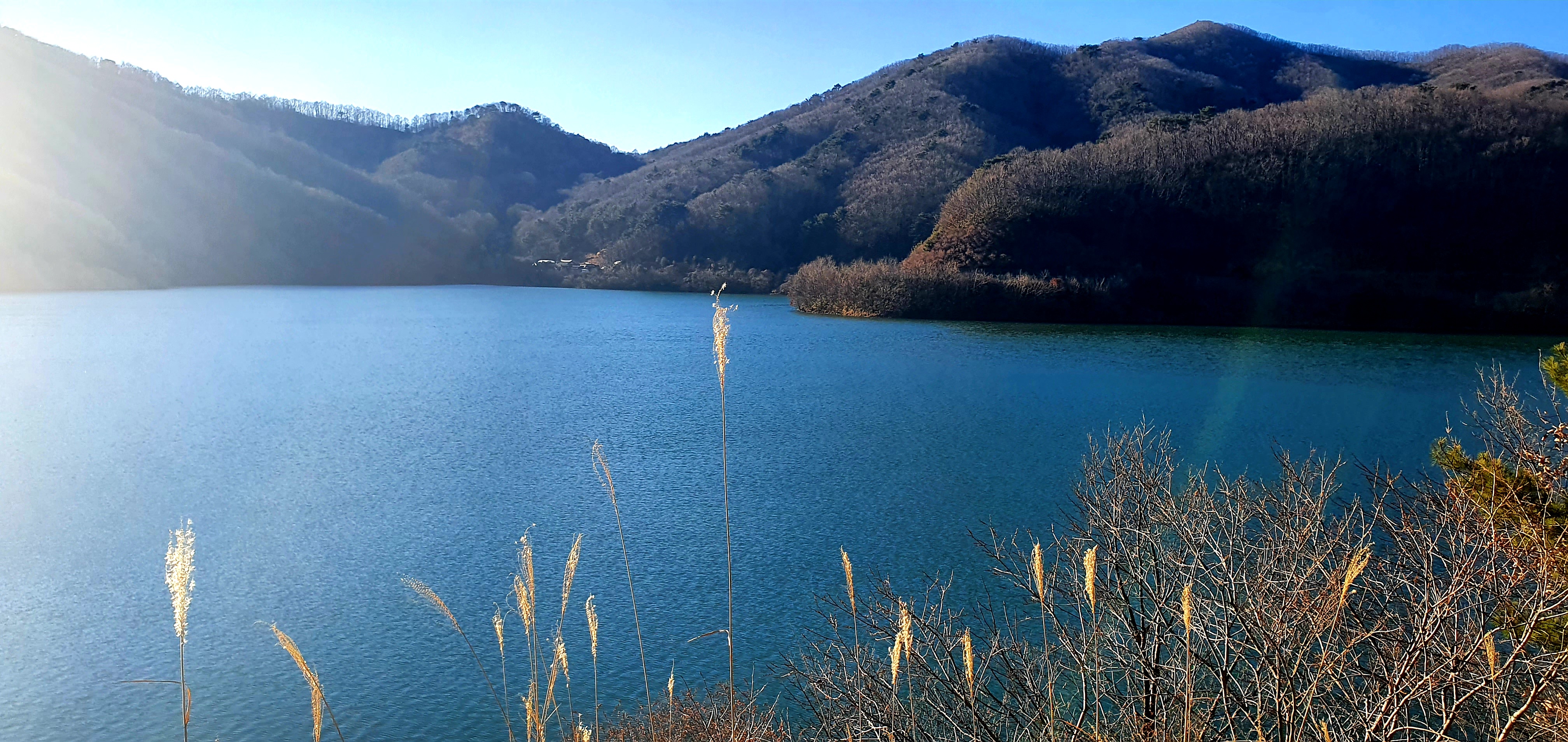 고운동천