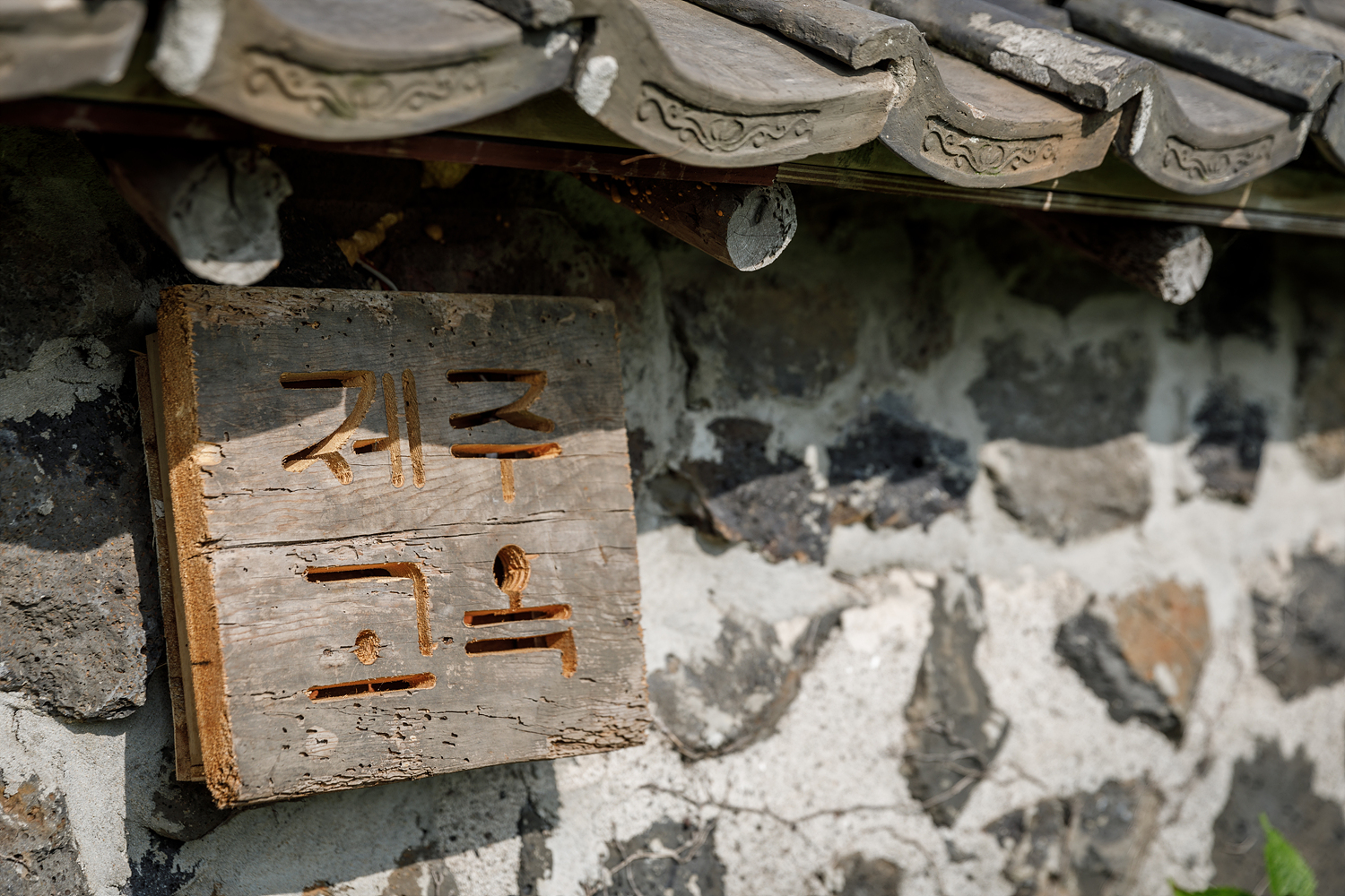 제주고옥