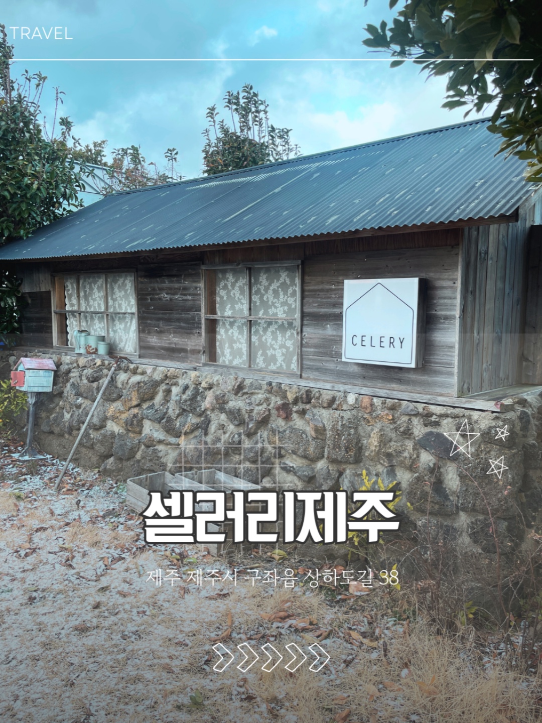 셀러리