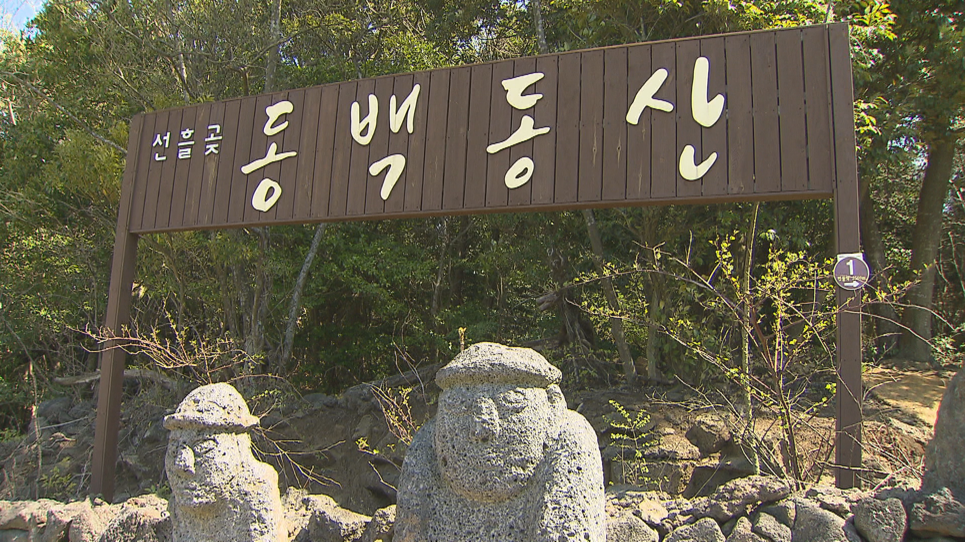 선흘