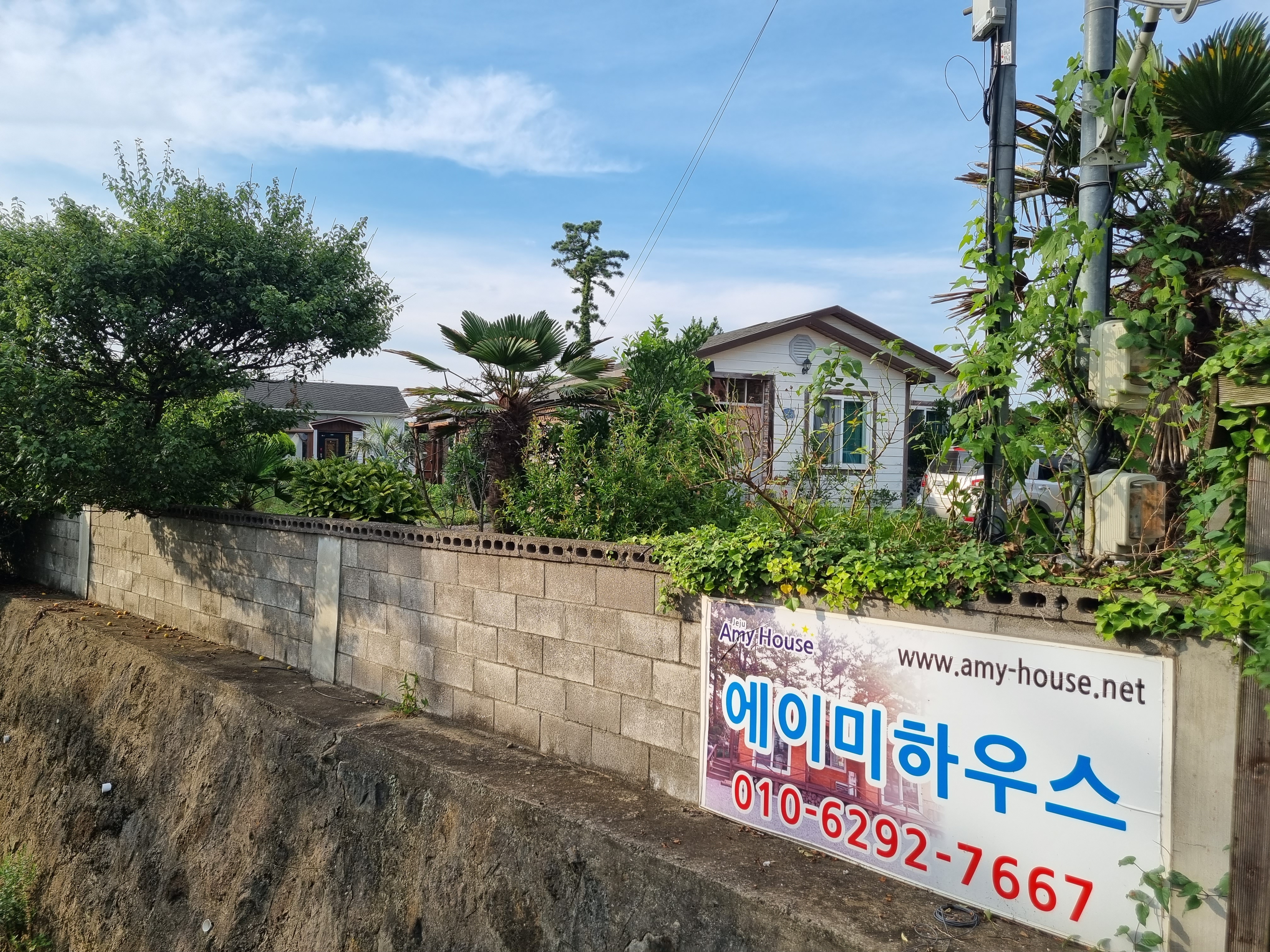 에이미하우스
